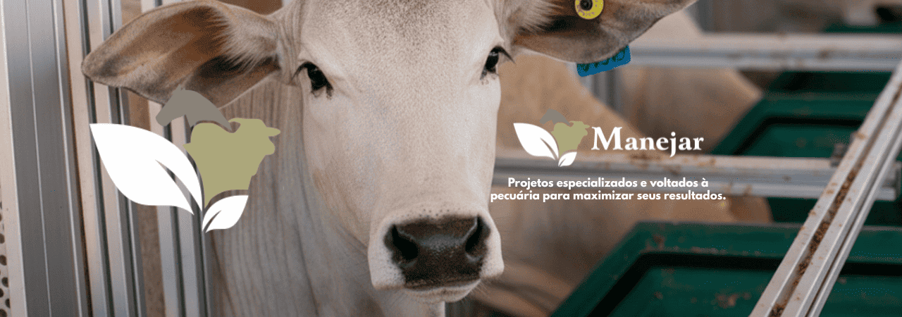 Crédito Rural